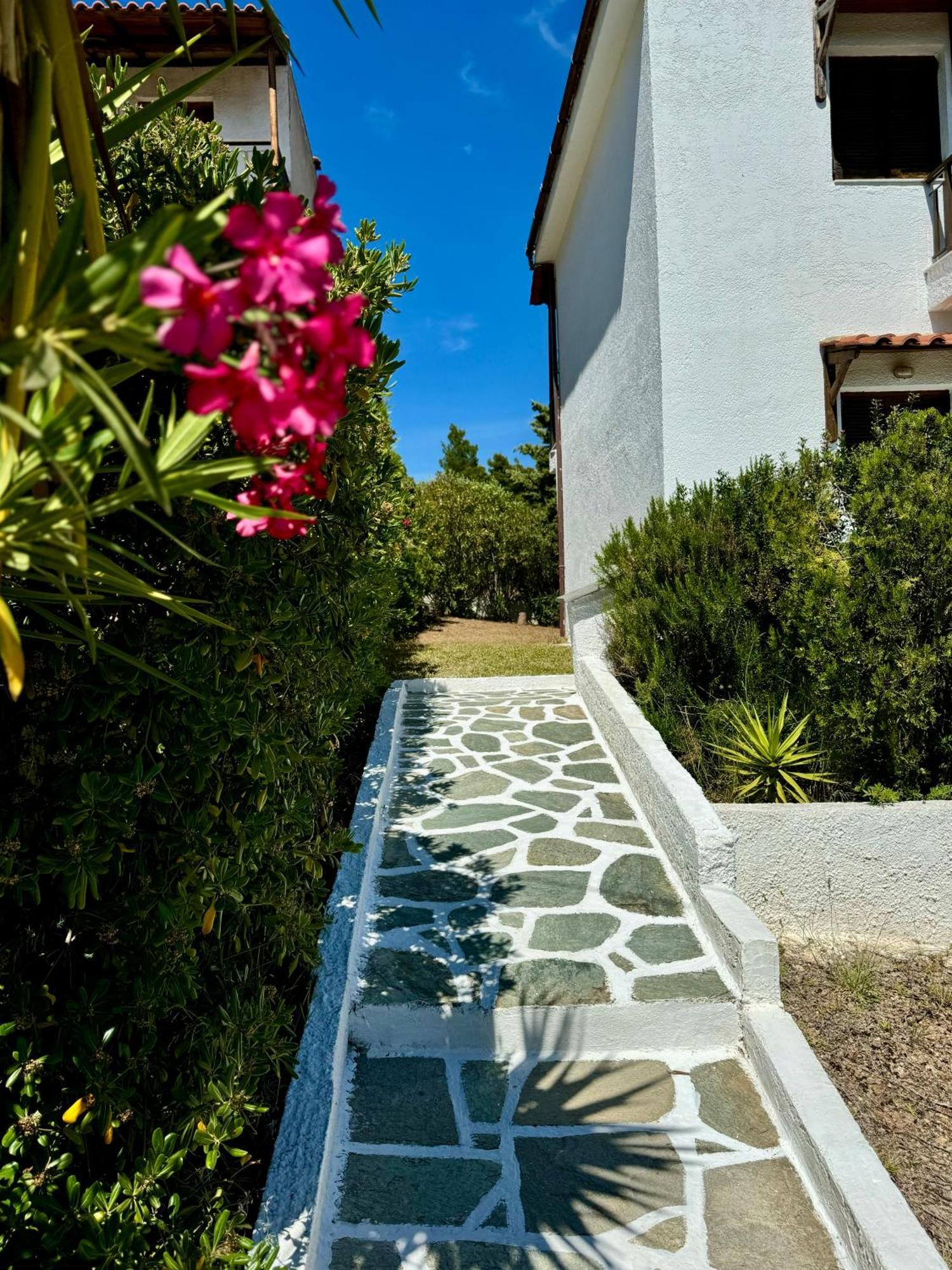 Summer Luxury Villa With Sea View Metamorfosi  Eksteriør billede