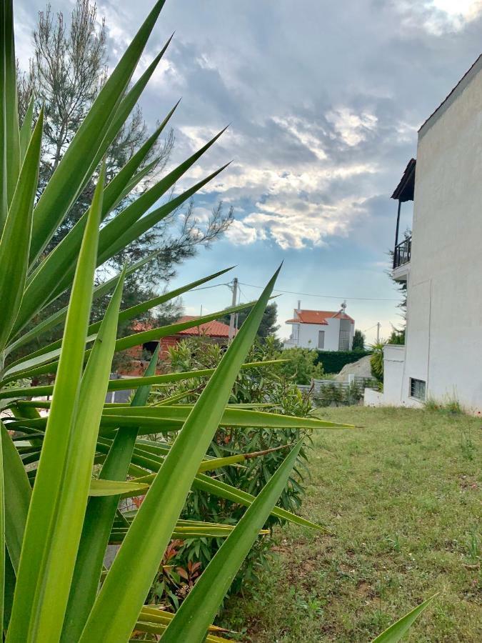 Summer Luxury Villa With Sea View Metamorfosi  Eksteriør billede